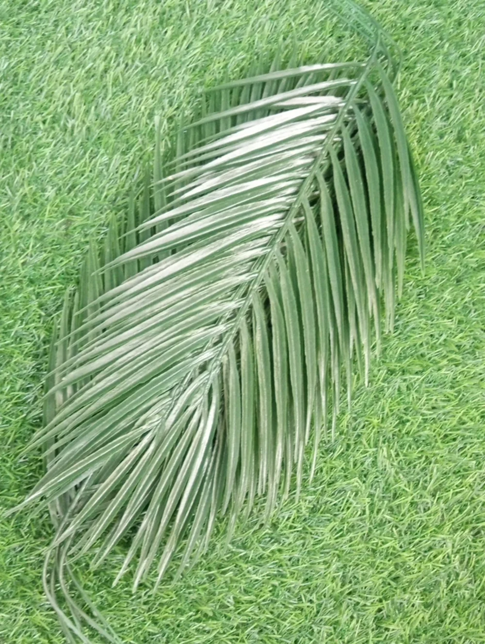 💩 Tropical Faux Palm & Monstera Leaf Set - Green